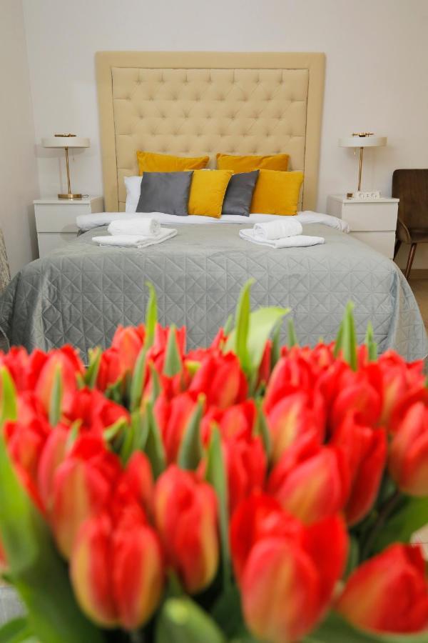 ベオグラード ベッド＆ブレックファースト ガーデン40 Bed & Breakfast エクステリア 写真